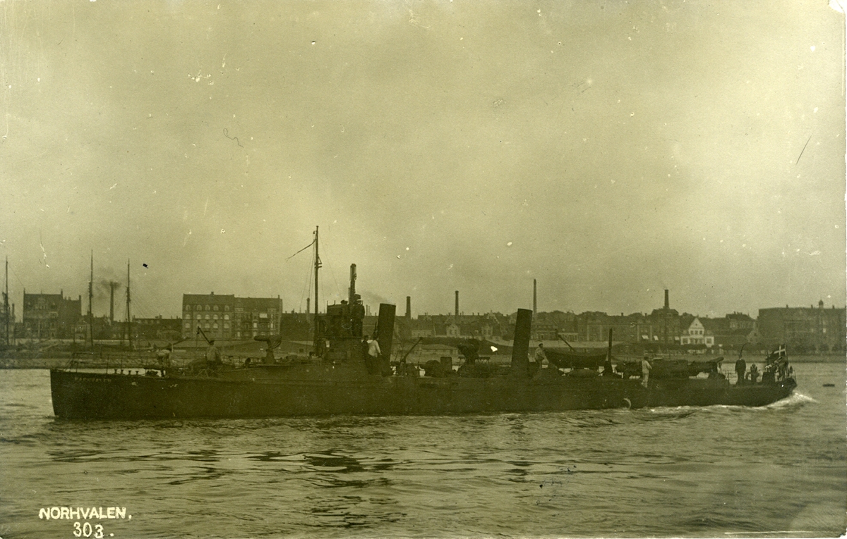 Narhvalen 303