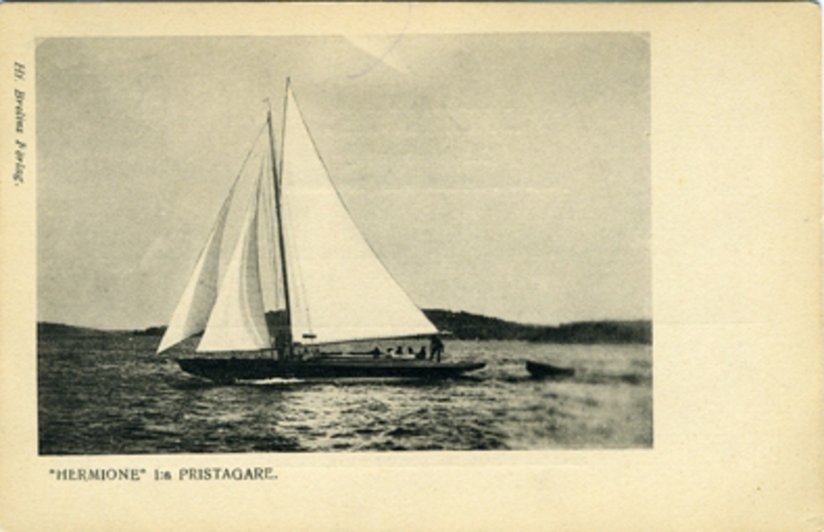Hermione 9. 1:a pristagare. Hj. Brolins Förlag.
