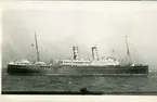 Veendam  arriving in N.Y. mars 1947