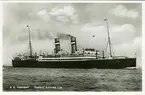 S.S. Veendam - 15.450 Br. reg. Tons
Holland-America Line