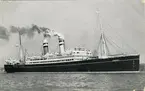 S.S. Volendam-15.434 Brutto Reg. Tons