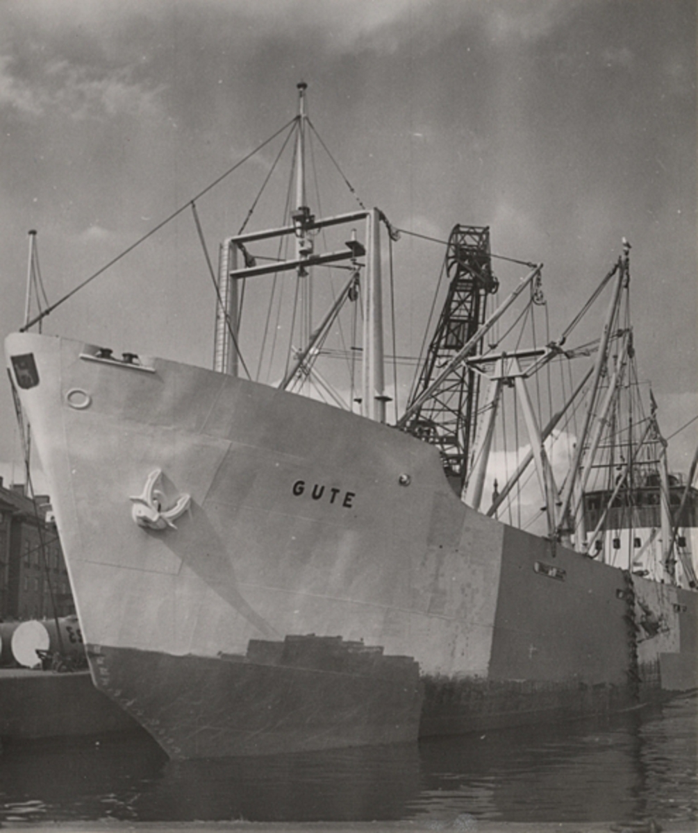 Fo206452