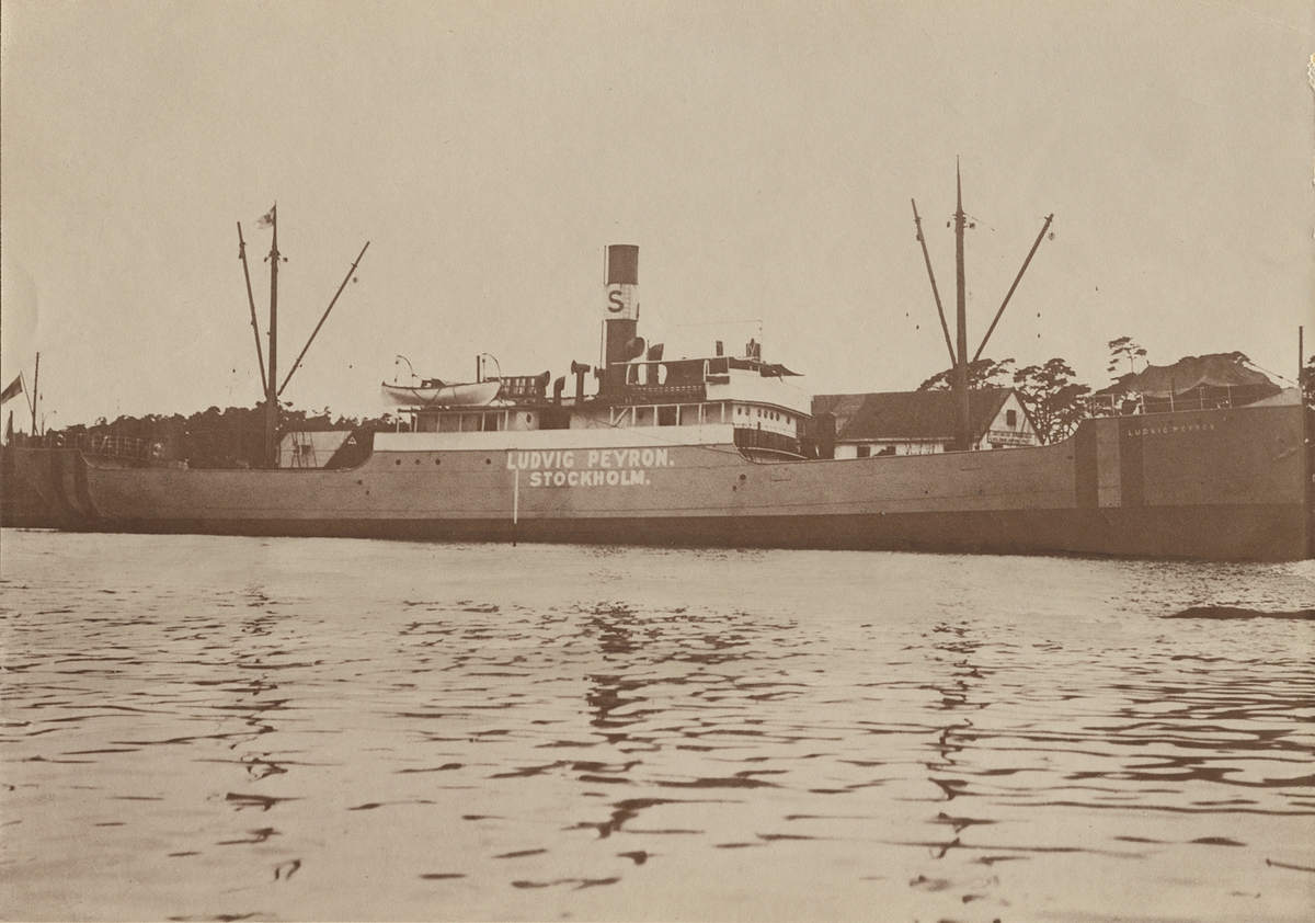 Fo206613