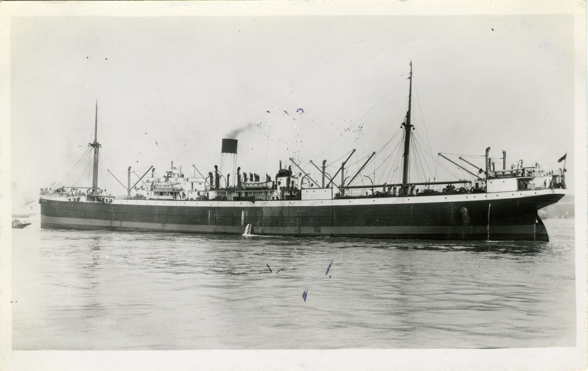 Fo216326