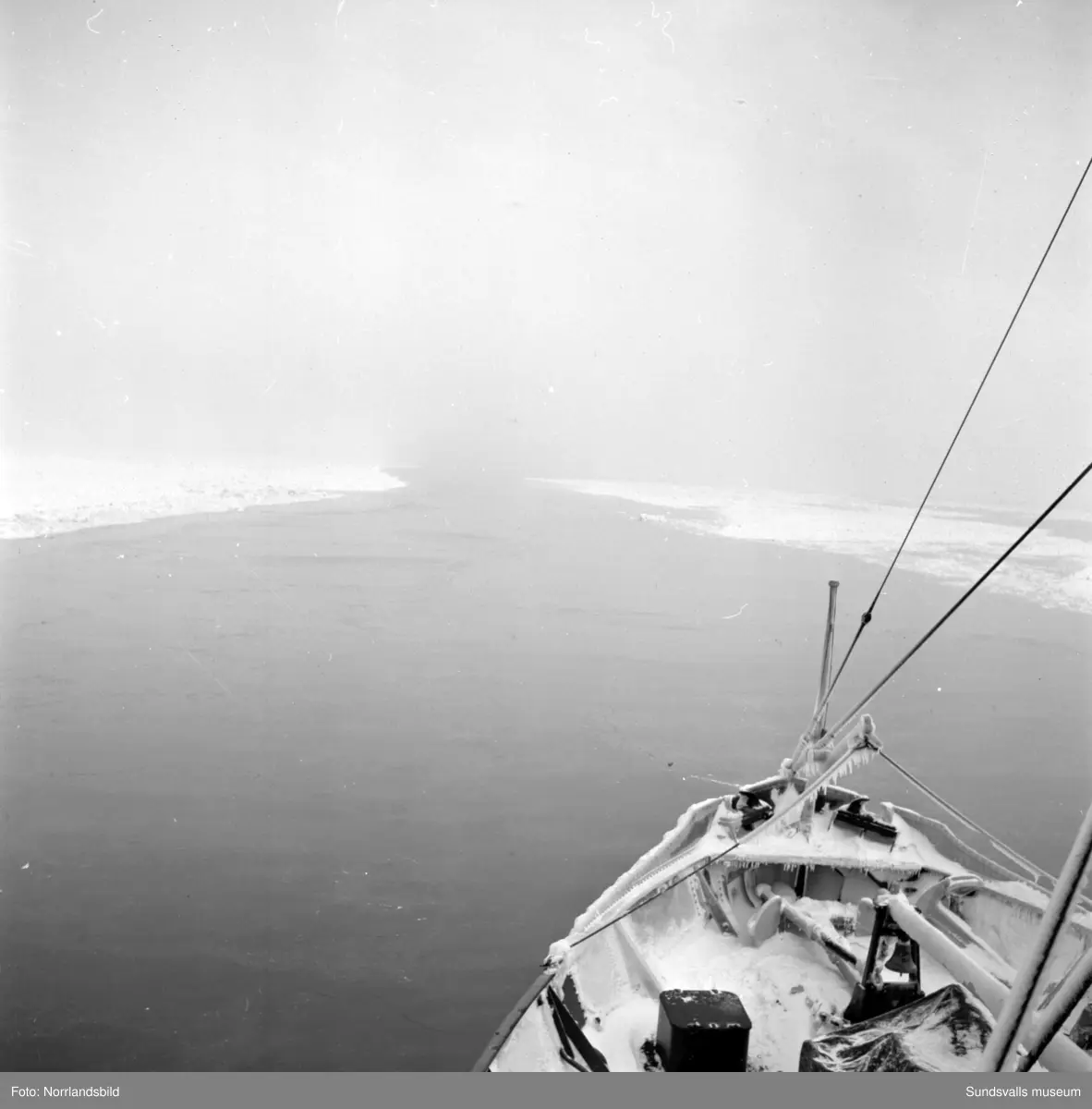Isbrytaren Atle med flera i Sundsvalls hamn.