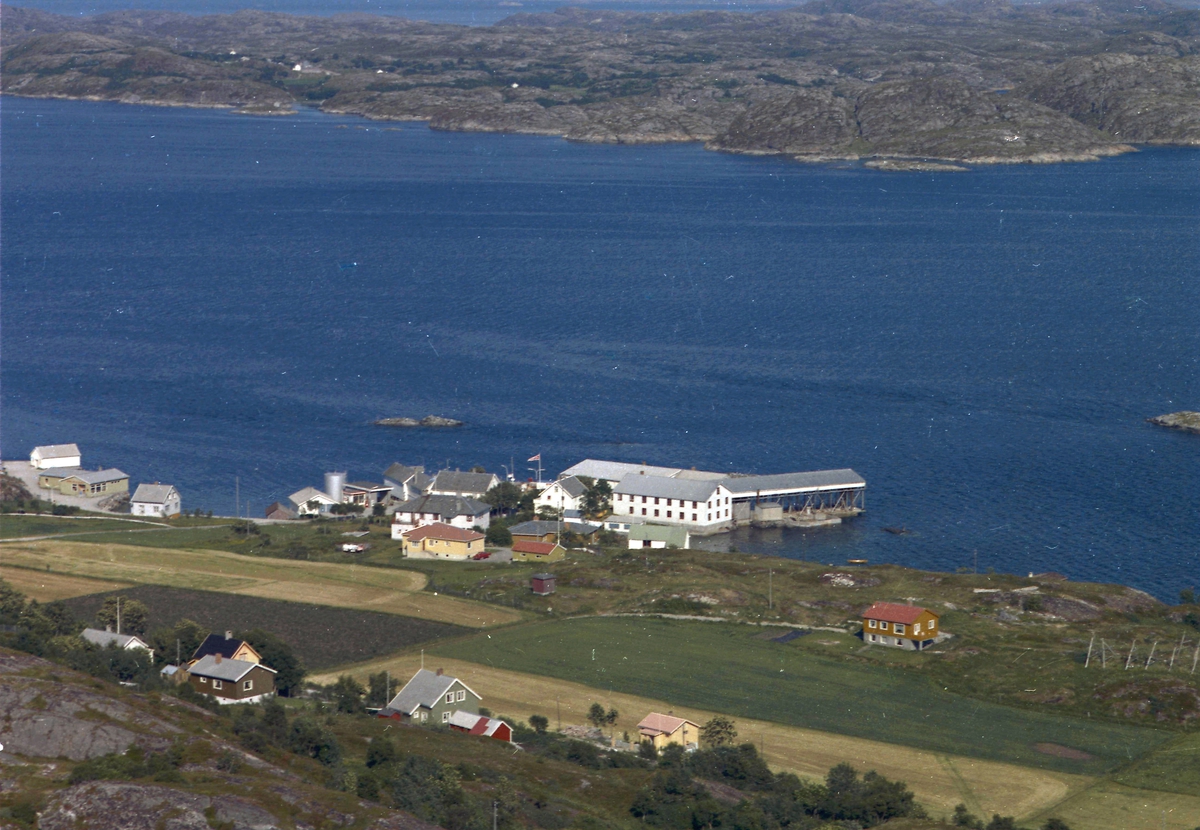 Ansnes med dampskipskai og handel
