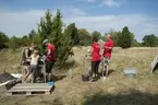 Birka marinarkeologisk undersökning.