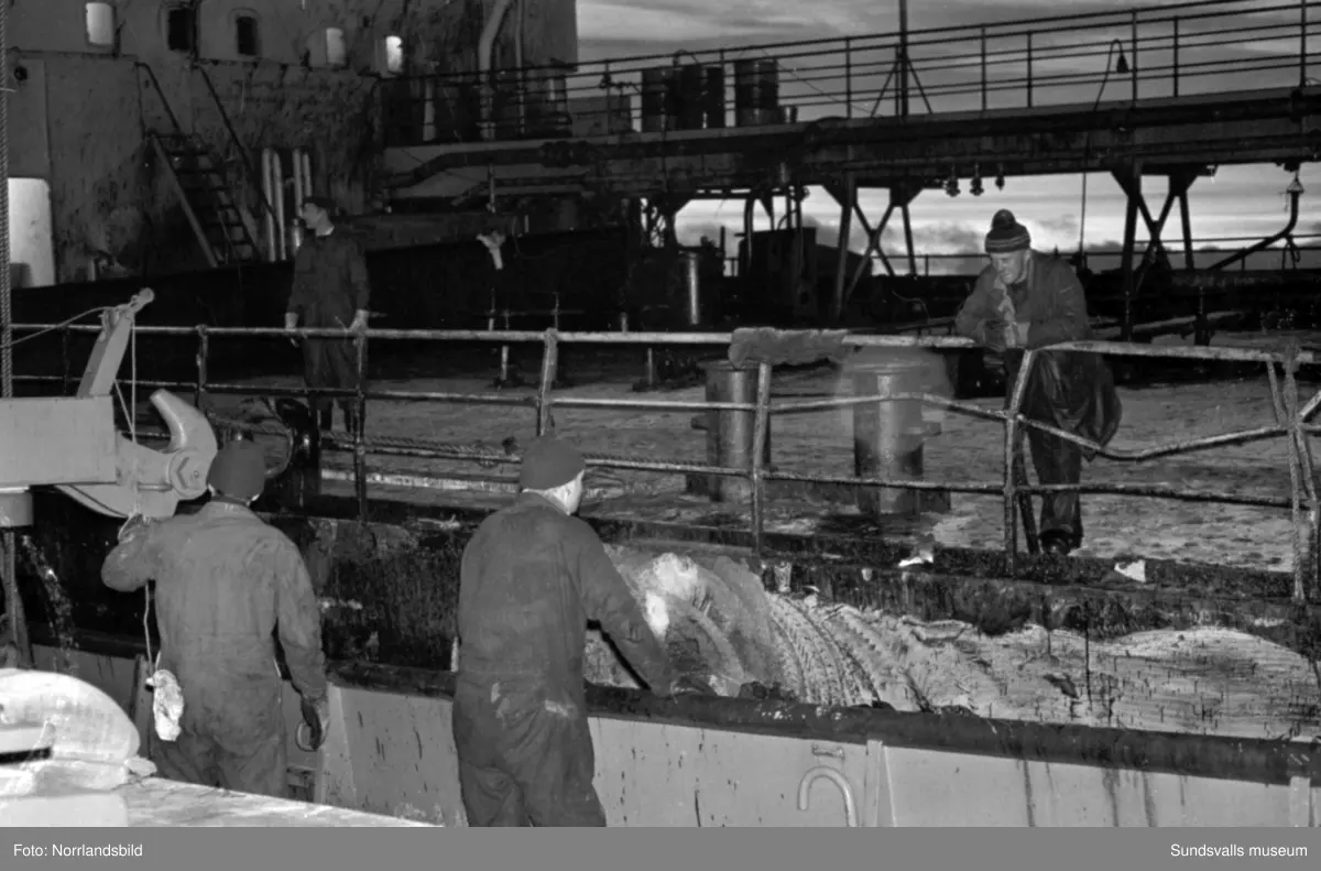 Norska oljetankern Gogstad som strandade vid Bremö kalv den 1 december 1964.
