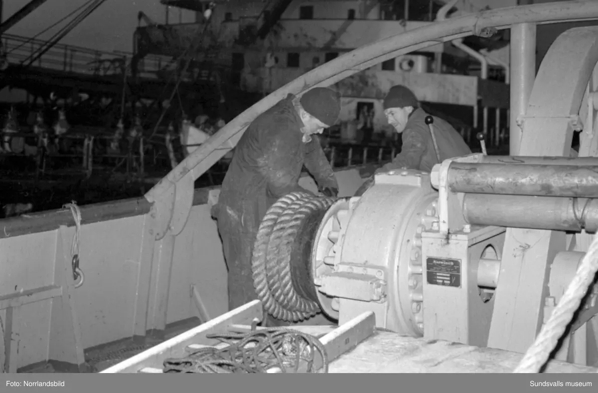 Norska oljetankern Gogstad som strandade vid Bremö kalv den 1 december 1964.