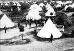 Livregementets husarkårs läger på Sanna Hed, år 1884.