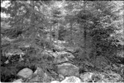 Fornlämning nr 7.   Skephult