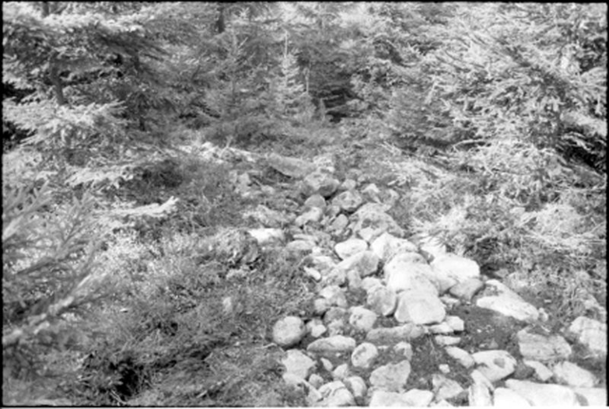 Fornlämning nr 7.   Skephult