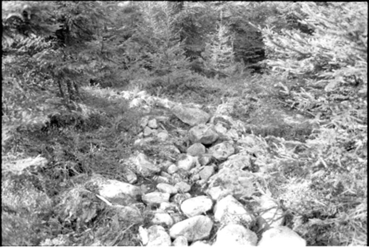 Fornlämning nr 7.   Skephult