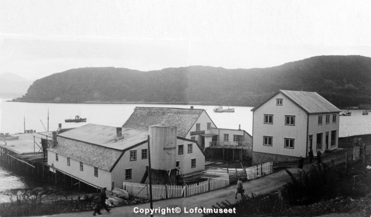 Repro, fra en gård.