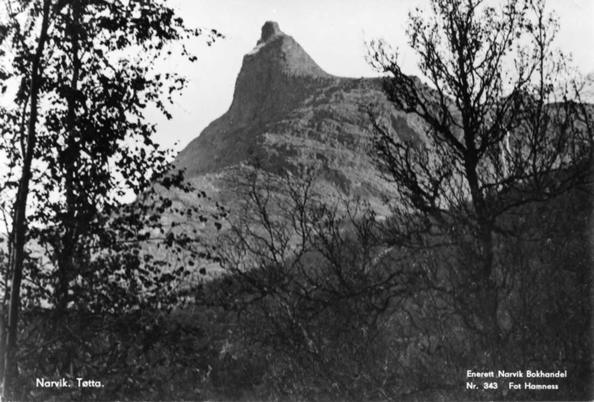Rombakstøtta