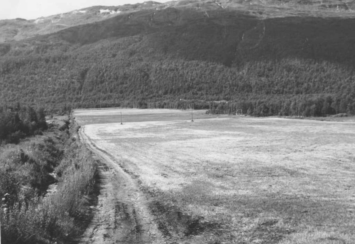 Et av jordene på Bones som strekker seg ned mot elva, med Grønnfjellet i bakgrunnen.