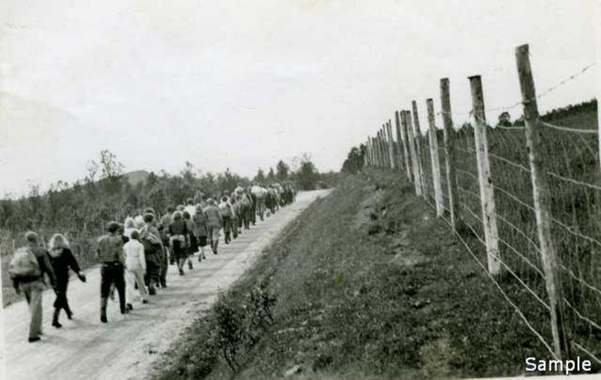 NGU-ere fra Troms Krets deltar i ettersøkning ved Harstad 1943. 