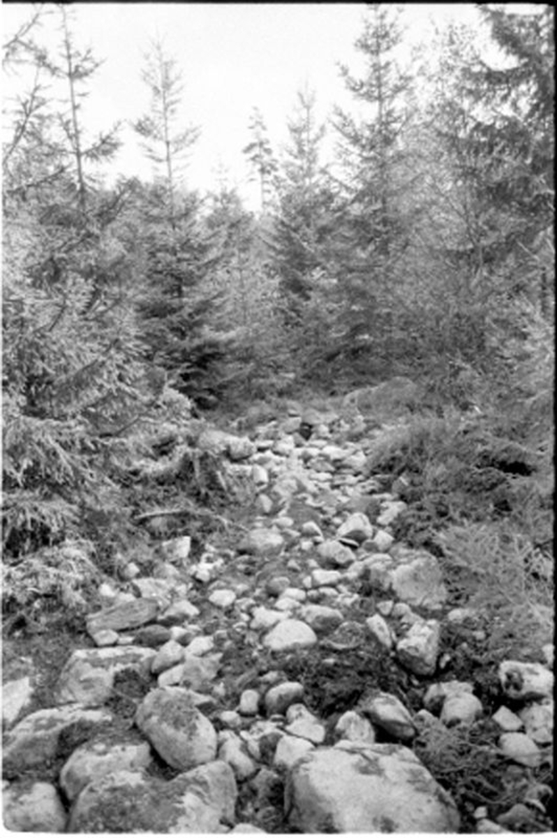 Fornlämning nr 7.   Skephult