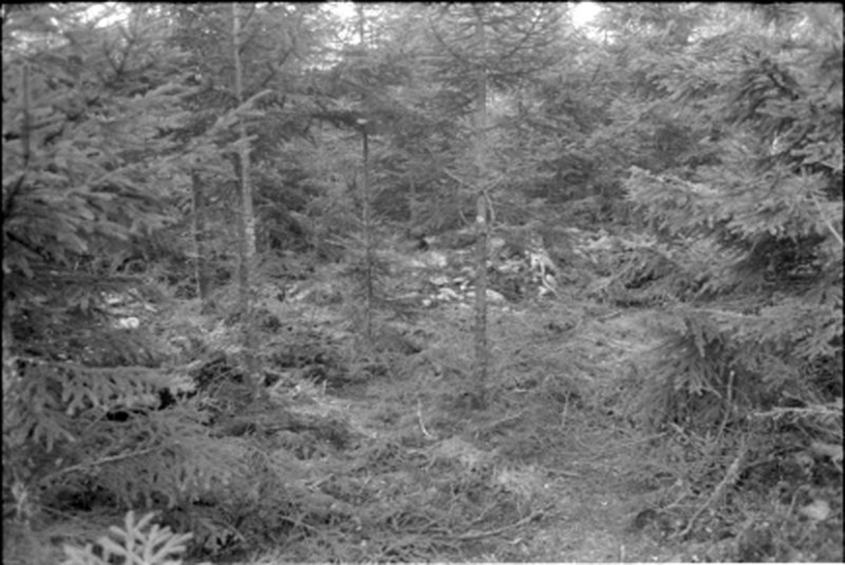 Fornlämning nr 7.   Skephult