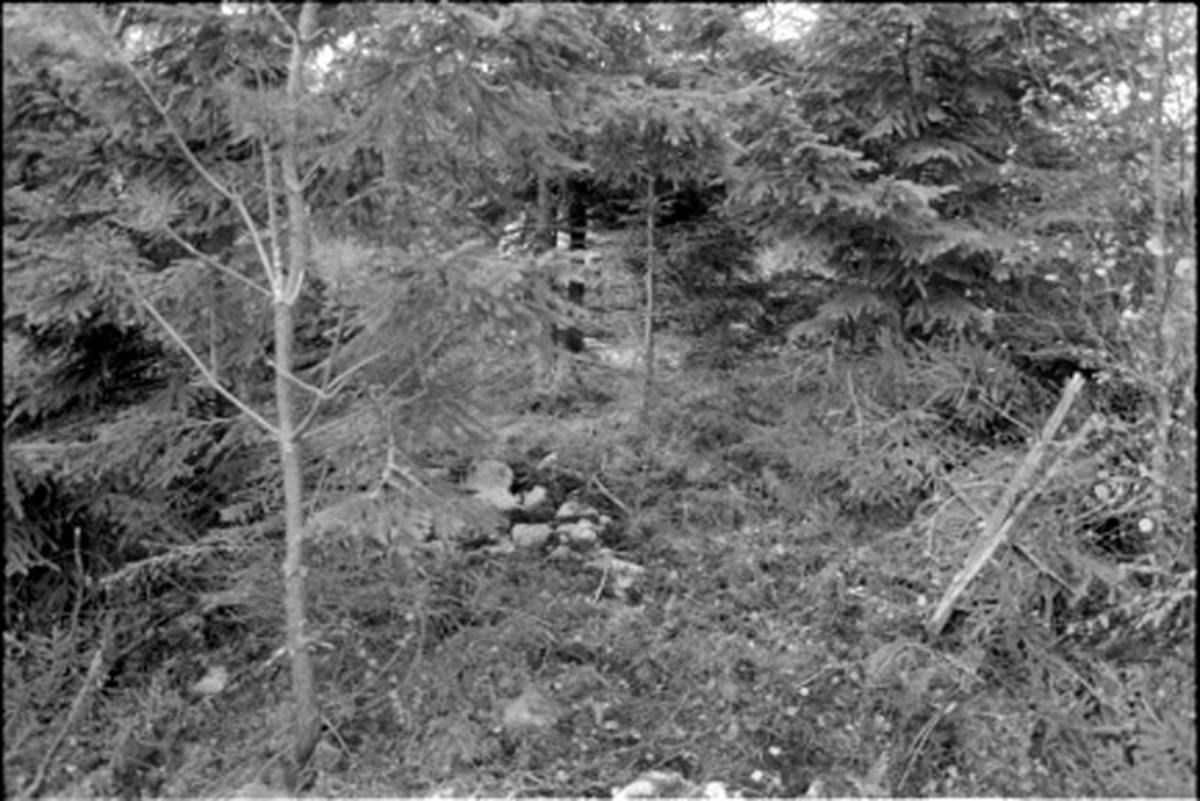 Fornlämning nr 7.   Skephult