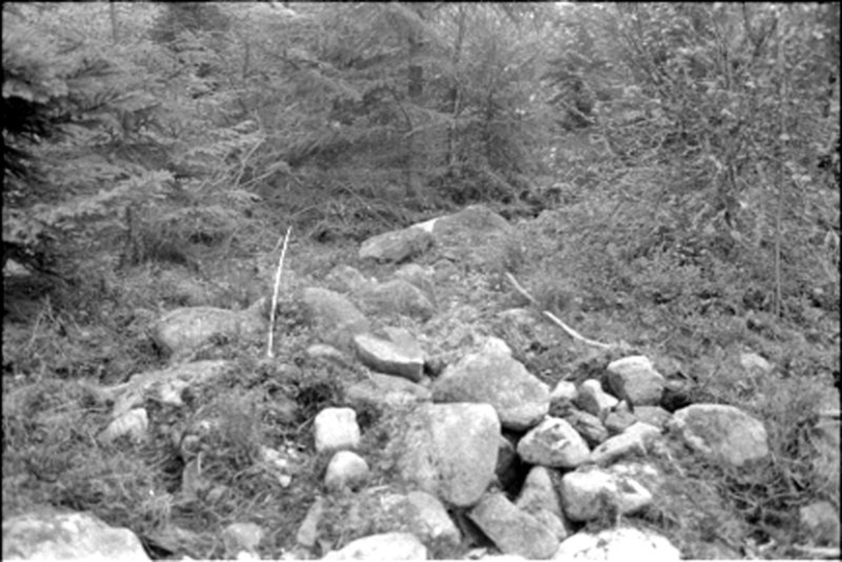 Fornlämning nr 7.   Skephult