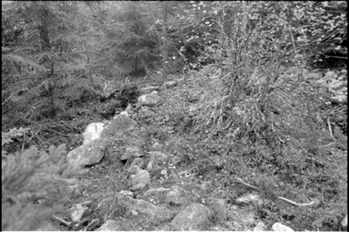 Fornlämning nr 7.   Skephult