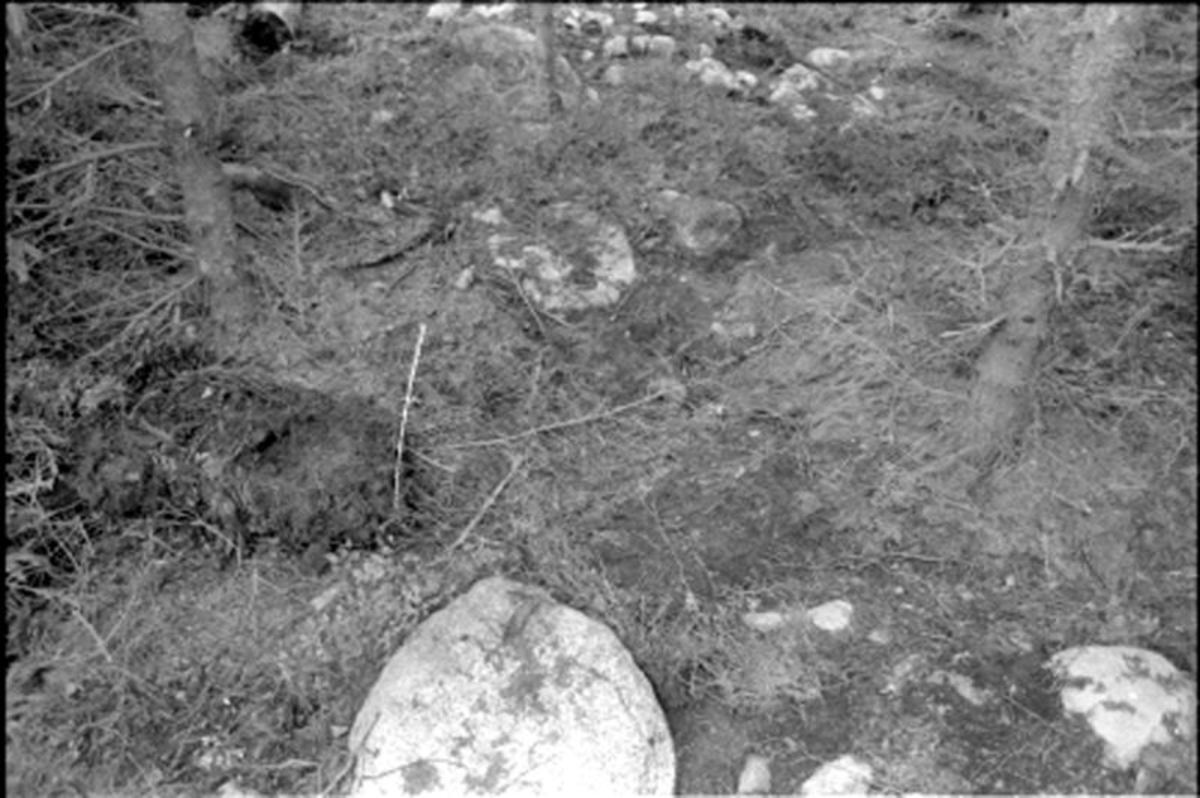 Fornlämning nr 7.   Skephult