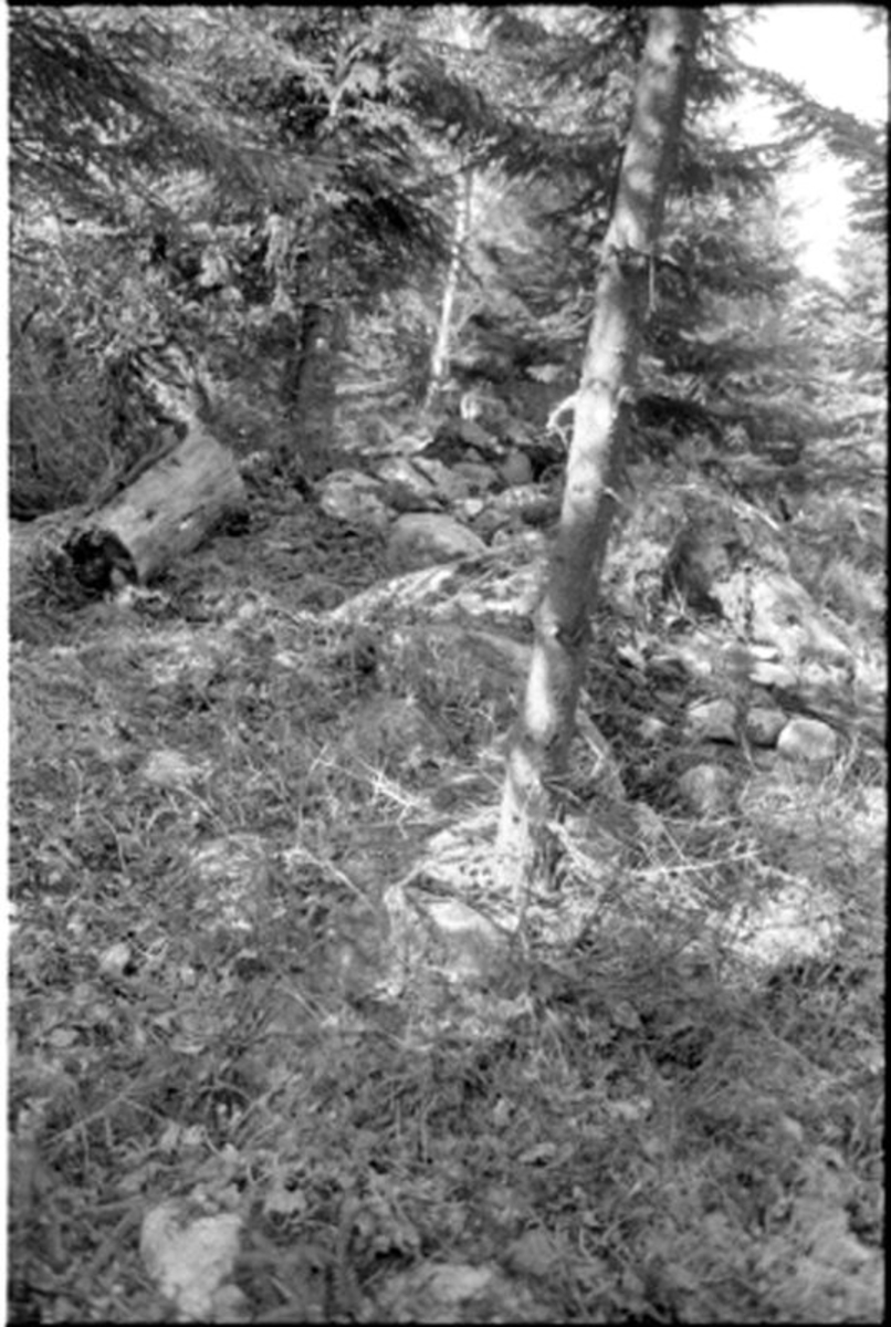 Fornlämning nr 7.   Skephult