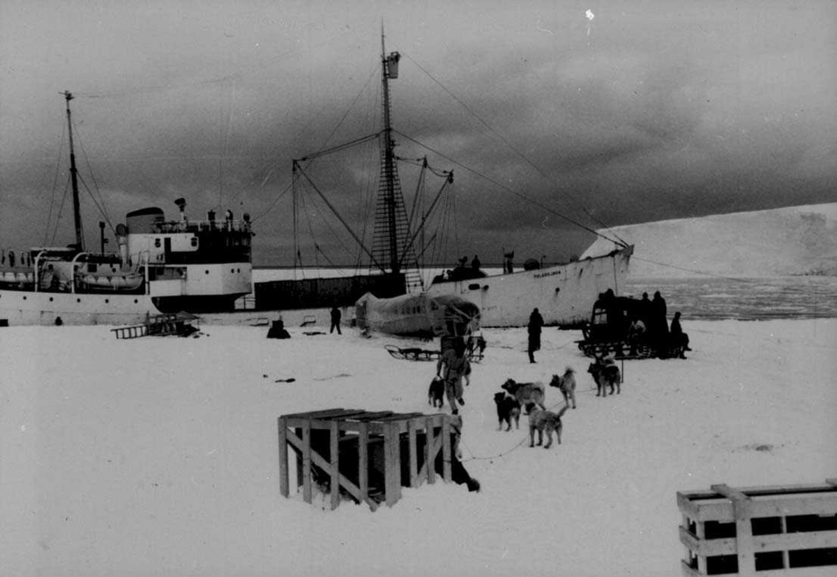 "Polarbjørn" ved iskanten. Ett fly, Otter, ikke ferdigmontert, på isen. Flere personer og hunder ved flyet.