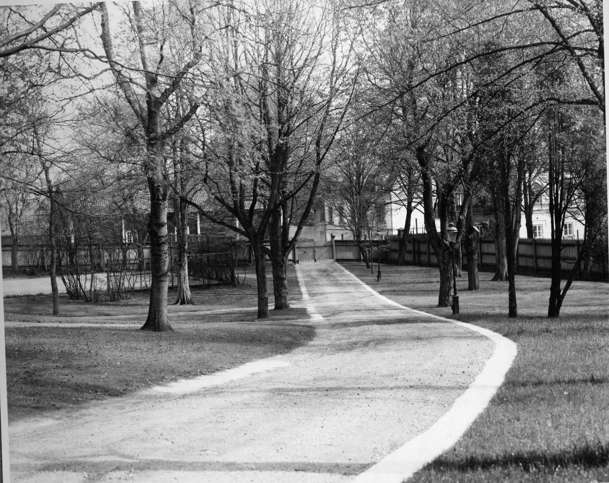 Chapmansgården