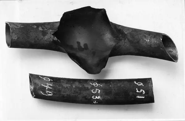 Minsveparen Ven skadade tuber