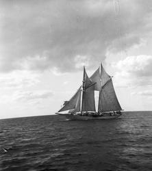 Segelbåt till sjöss