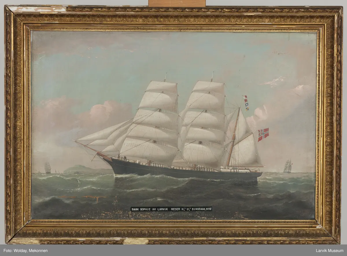Bark Sophie av Larvik