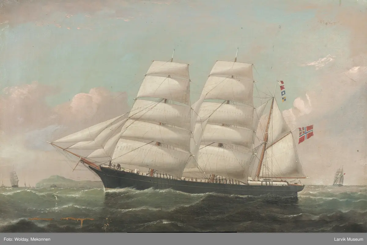 Bark Sophie av Larvik