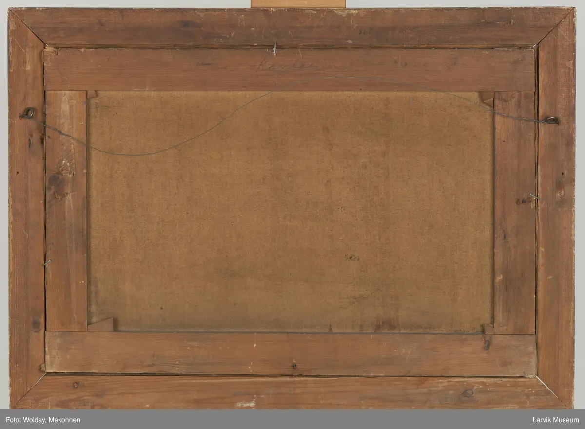 Bark Sophie av Larvik