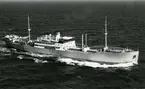 Ägare:/1935-60/: Rederi AB Transatlantic. Hemort: Göteborg.