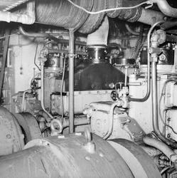 Dr. Victoria omformare