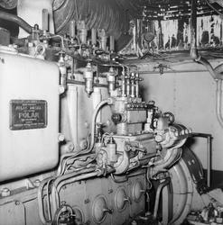 Dr. Viktoria omformare