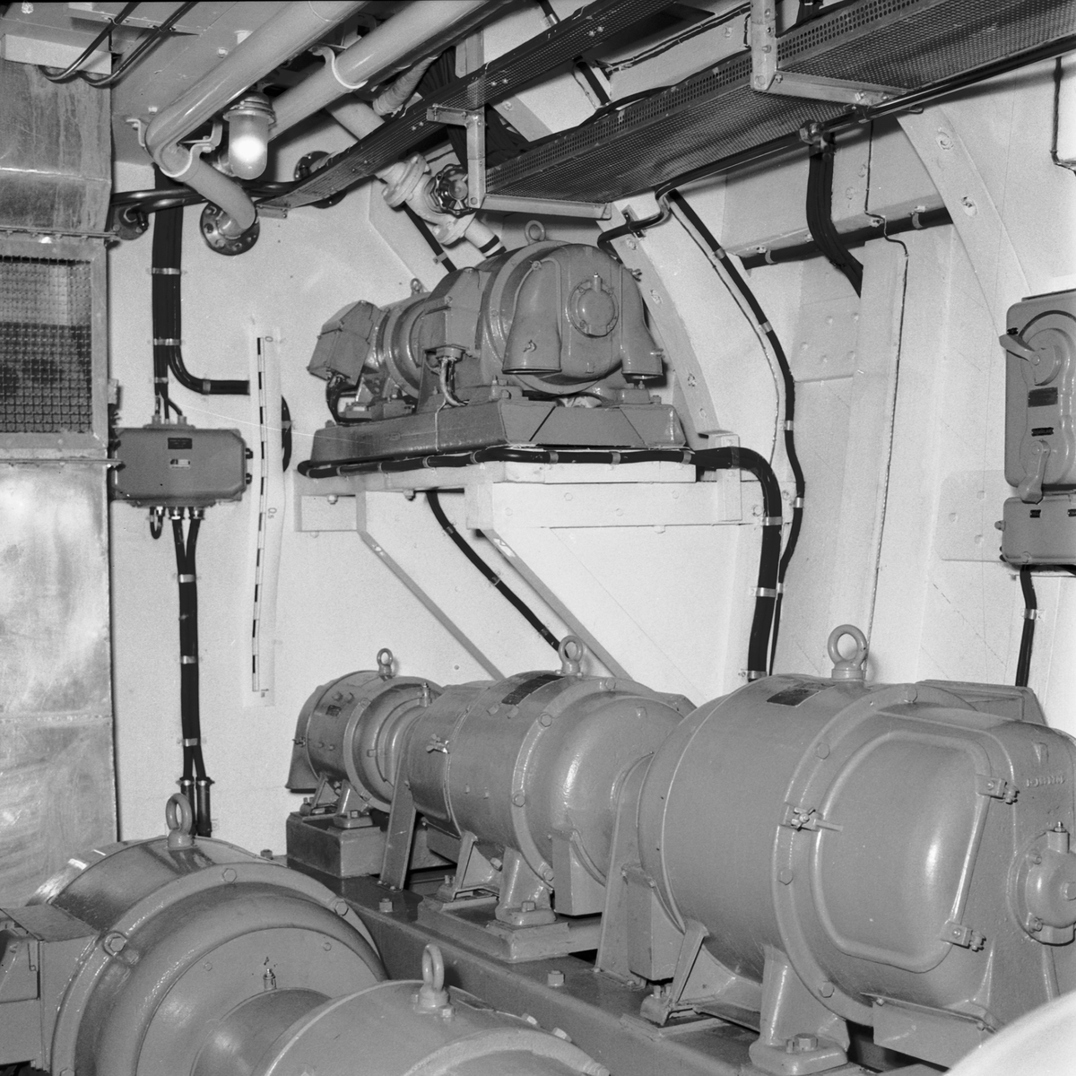 V19686