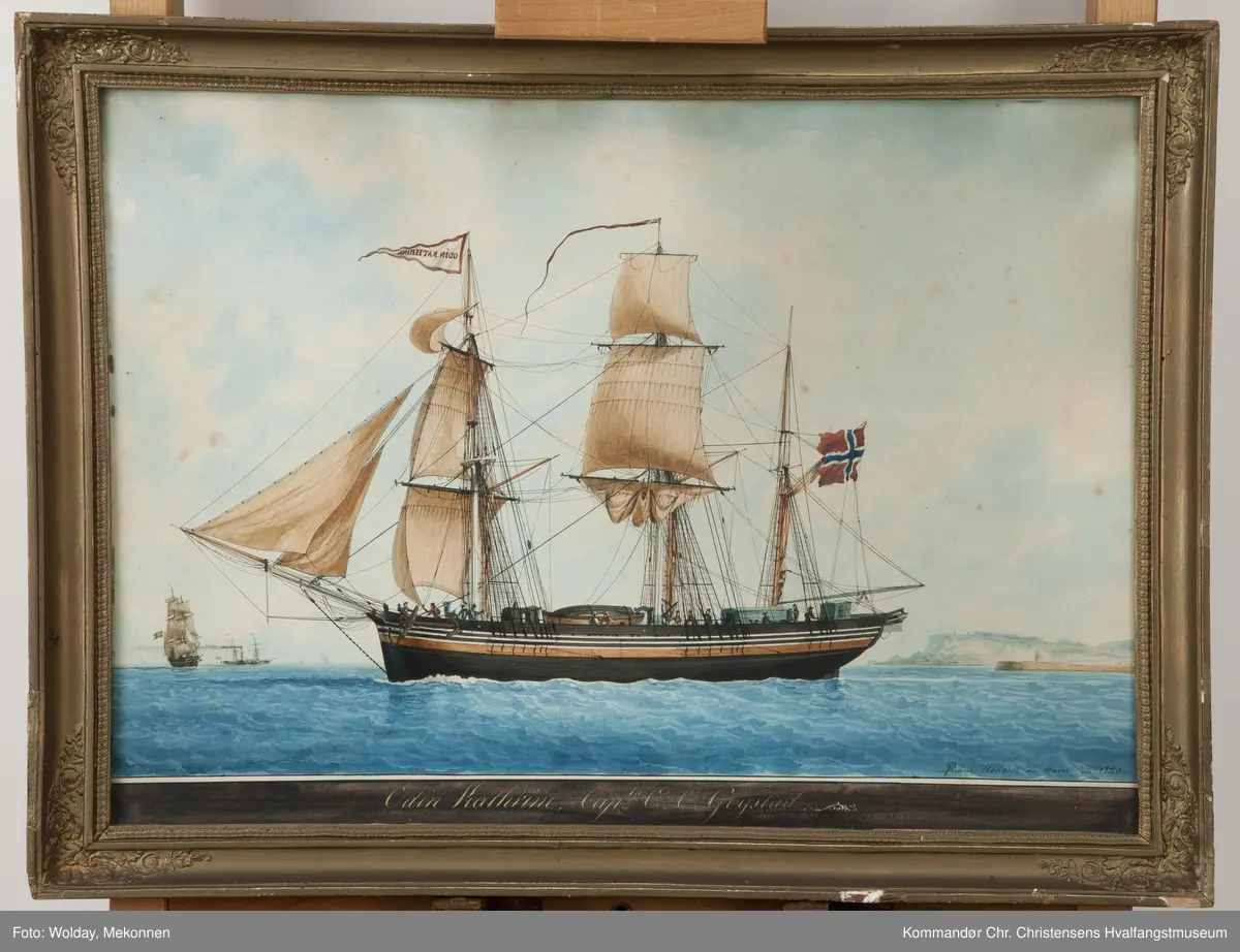 ODIN & CATHRINE
Nasjon: Norsk
Type: Bark
Byggeår: 1839
Byggested: Lahelle, Sandeherred, Sandefjord, Norge
Ombygging: Reparert 1862