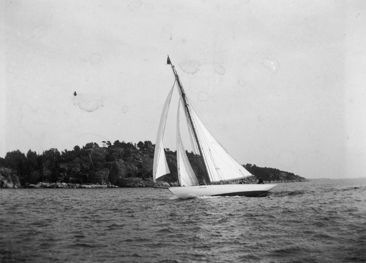 "Alca år 1896"