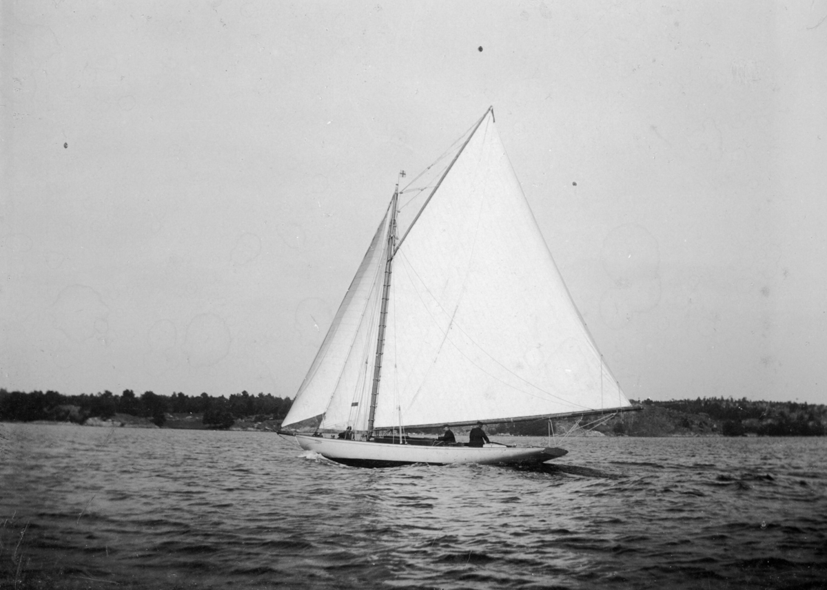 "Alca 1896"