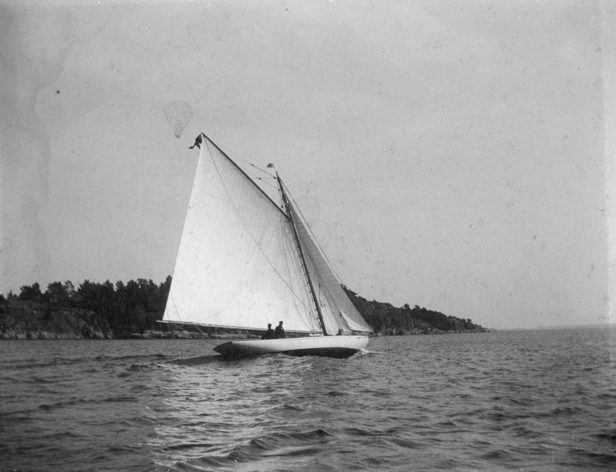 "Alca år 1896"