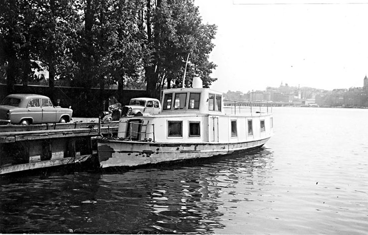 Bussig (Gambrinus VI)