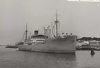 Vid Ryahamnen i Göteborg den 24.3.1951.