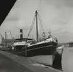 S/S VÄSTMANLAND i Lilla Bommen, Göteborg. Foto: Dag Almén, 23/3 1952.