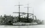 Okänd bark lossar sin last i Yarmouth 1913.