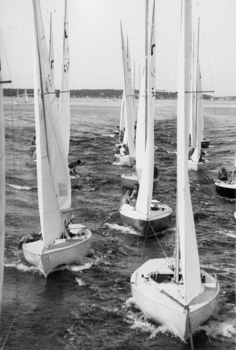 "Soling EM Sandhamn 1970 Hedlund"