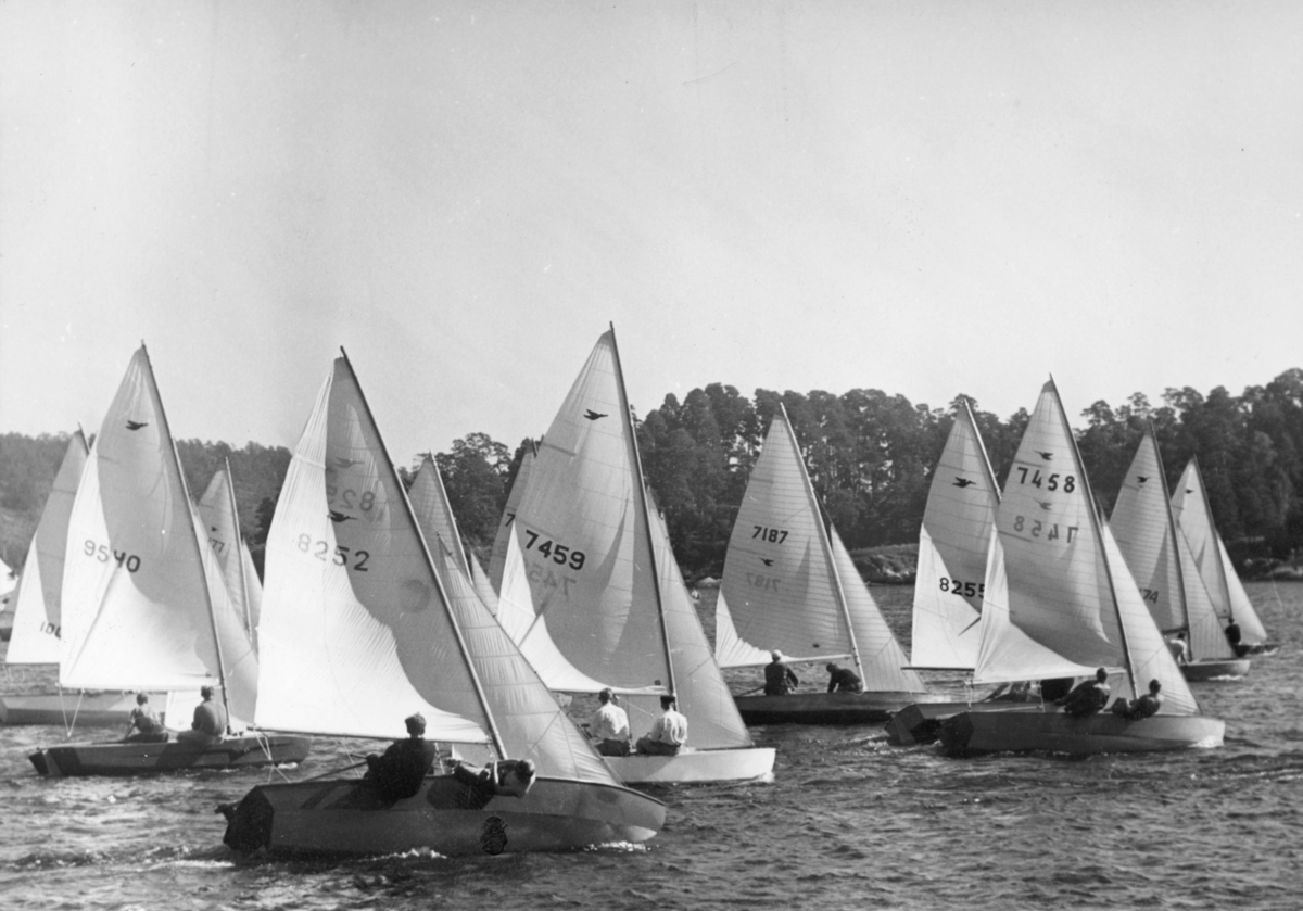 "21." "619" "Salta Biten vann i Snipeklassen" "99 bred""80 %"