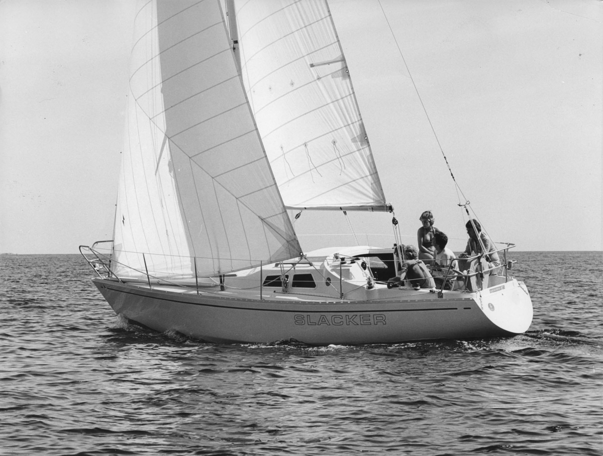 "Scampi 30"